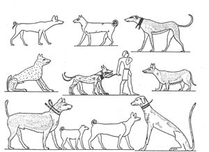 fresco from the necropolis of Beni Hassan 